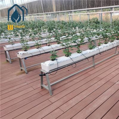 China PVC hydroponic systems for planting vegetables for sale