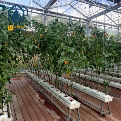 China PVC Factory Price Hydroponic Growing Systems for sale