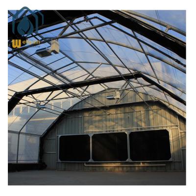 China High PE Tunnel Light Deprivation Blackout Greenhouse for sale