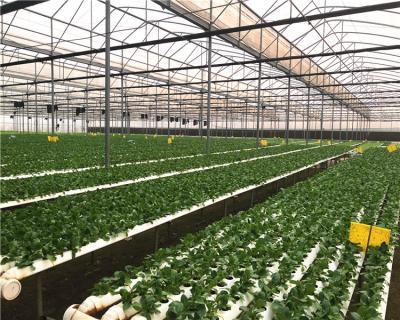 China Powerful PVC Products China Hydroponics System Agriculture Planting Miniature Hydroponic Greenhouse nft for sale