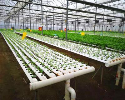 China pvc nft hydroponic agriculture greenhouse for sale