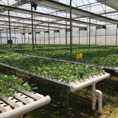 China Vertical PVC A Frame Food Grade PVC NFT Hydroponic Growing System for sale