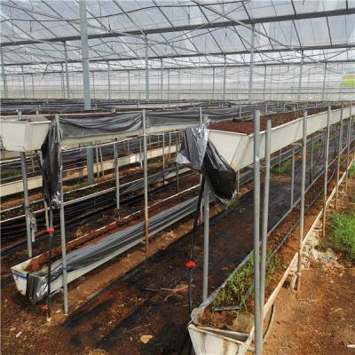 China PVC Green House Cheapest Agriculture System Hydroponic Farm Equipment for sale