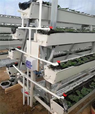 China Plastic PVC Greenhouse Agriculture With PVC Hydroponic System for sale