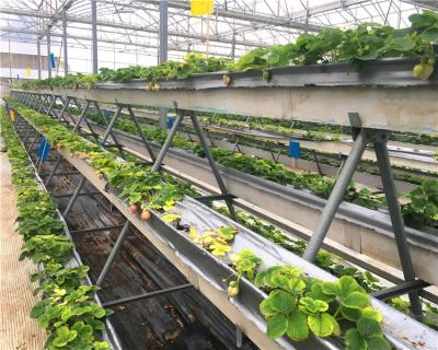 China PVC-U PVC Indoor Hydroponic Growing System Greenhouses Structure With Hydroponics System for sale