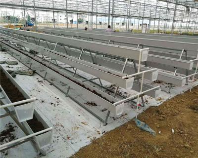 China PVC Flood Tray For Hydroponic Galvanized Rolling Bench for sale