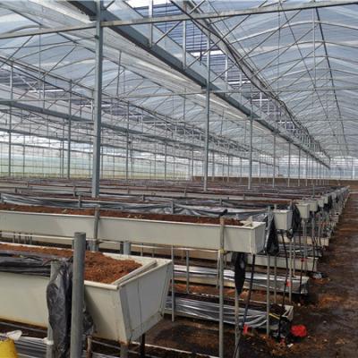 China PVC Strawberry Growing System For Growing Tray Strawberry Greenhouse for sale