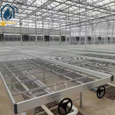 China Hot Dip Galvanized Steel Greenhouse Plant Nursery Equipment Movable Grow Table Seedling Rolling Benches for sale