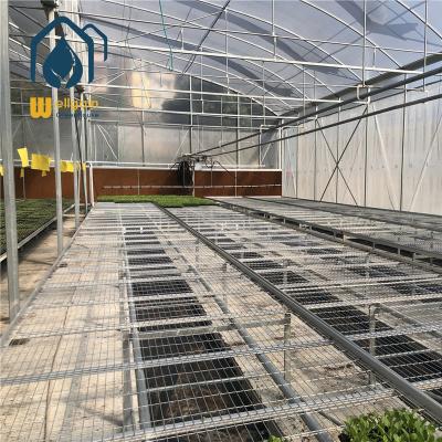 China Hot Dip Galvanized Steel Rolling Steel Seedling Tables Expanded Mesh Seeding Bed Greenhouse Bench For Plants for sale