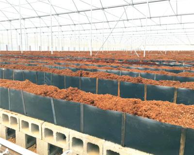 China PP Hydroponic Nutrients Planting Tomatoes With PP Rolls for sale