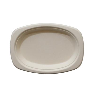 China Minimalist Bagasse Molded Fiber Dinnerware 9Inch Oval Sugarcane Dish 9