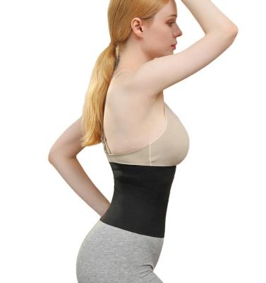 China Free Sample Waist Weight Loss Belly Trimmer Antibacterial Slimming Waist Trainer Belt For Women for sale