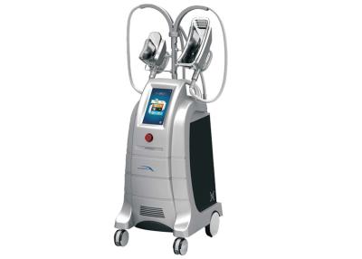 China Máquina do emagrecimento de Cryolipolysis de 4 punhos com 10 - tela de toque da cor da polegada à venda