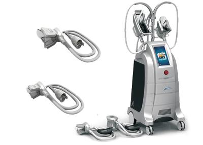 China Máquina do emagrecimento de Cryolipolysis de 2 punhos, máquina do emagrecimento do laser de Lipo à venda