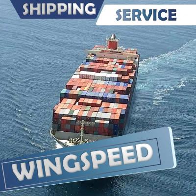 China onward freight service from shekou from shenzhen yantian to paraguay -- Skype: bonmedcici Wingspeed for sale