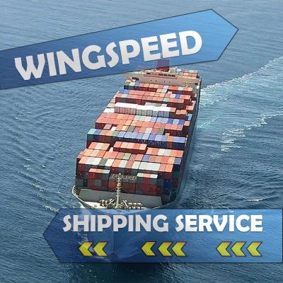 China DDU/DDP LCL sea shipping sea freight to Dunkirk France-- Skype:bonmedcici Wingspeed for sale