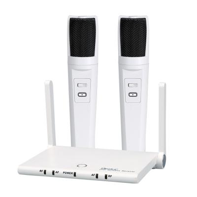 China Other Wireless Microphone UHF Mic Handheld Dynamic Wireless Microphone System for Karaoke Home Party, Meeting, Church, DJ, Wedding for sale