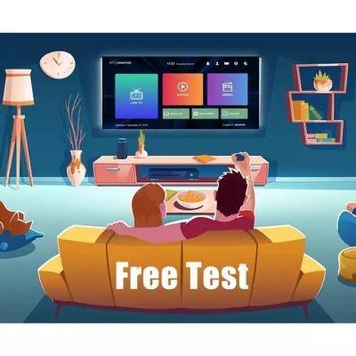 China Smarter IPTV Dino IPTV Subscription 12 Months Merchant Free Trial Panel 24 Hours Working Stable M3u Link For Android Device for sale