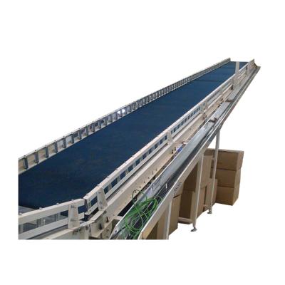 China Easy Operation Industrial Climbing Conveyors Line And Automation Systems for sale