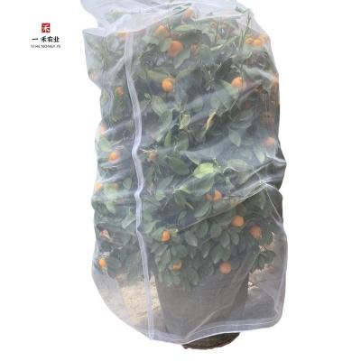 China HDPE/PE/PP Plastic Drawstring Insect Net for Bird-Proofing Orchards Gardens Vegetables Flowers Fruits White Not Coated for sale