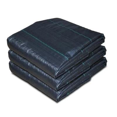 China Protecting PP Woven Membrane PE Ground Cover Mesh Weed Mat Roll Anti Grass Weed  Mulch Film for sale