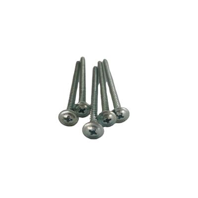 China Sale Stainless Steel Sharp Pointed Round Set Round Head Phillips Tail Screws for sale