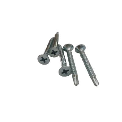 China Long Round High Quality Cross Recessed Csk Countersunk Head Security Screws for sale