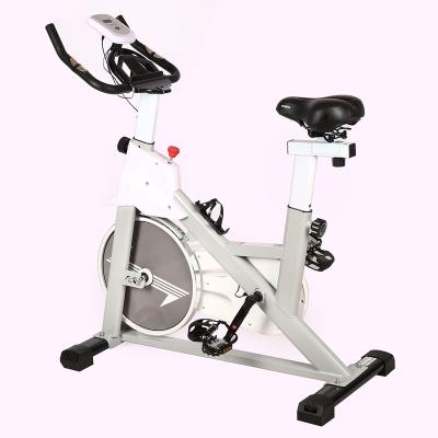 China Spinning Home Indoor Gym Use Spin Bike Professional Home Fitness Spin Bike for sale