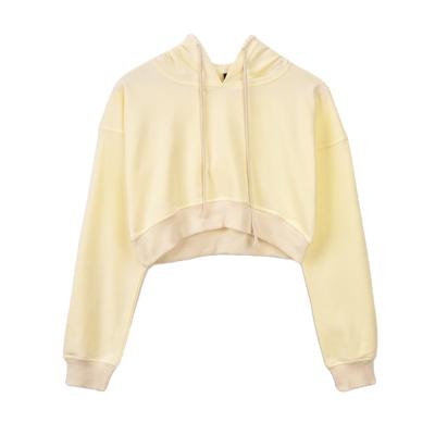 China Top Fashion Cotton Hoodie Crop Waterproof Sweatshirt Women Girls Clothes Casual Custom Clothing Turtle Neck for sale