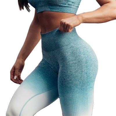 China Activewear Breathable Gradient Fashion Bra and Seamless Ombre Leggings Set Women Yoga Fitness Seamless Set for sale