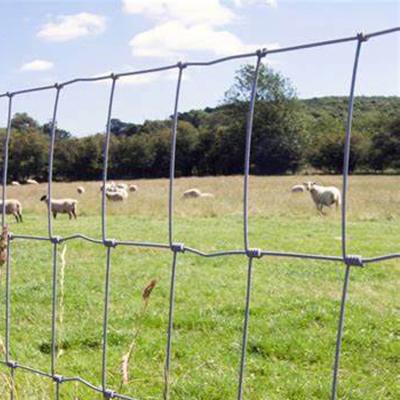 China Low Price Easily Assembled Galvanized Woven Common Wire Deer Field Farm Fence Grassland Cheap Hinge Livestock Fence for sale