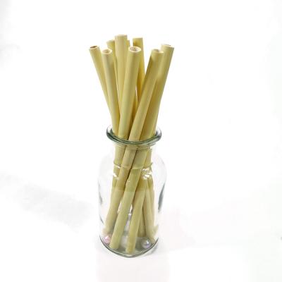 China Disposable Coffee Reeds Straw Biodegradable Eco Friendly Reusable Drinking Soft Coconut Juice for sale