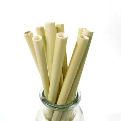 China Reusable Eco-friendly Biodegradable Disposable Juice Coffee Drinking Reeds Straw Coconut Soft for sale