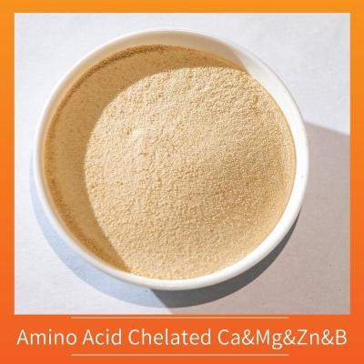 China Ca Mg Zn B Amino Acid Chelated Micronutrients Fertilizer Yellow Powder for sale