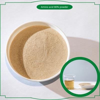 Chine Hydrolysate Animal Protein Based Amino Acid Powder 80% Agricultural Fertilizers à vendre