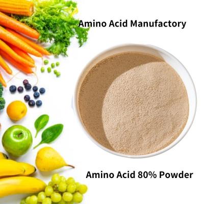 Κίνα Enzymolysis Animal Amino Acid Powder 80 Yellow υδατοδιαλυτό λίπασμα Total Nitrogen 14 προς πώληση