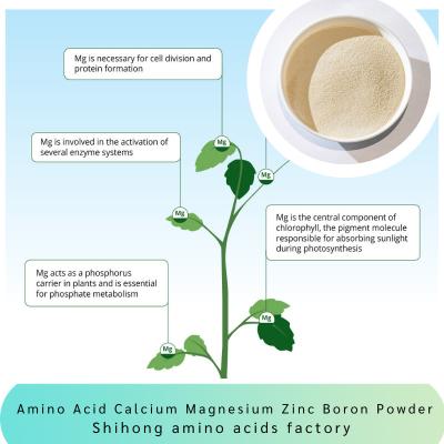 China El magnesio del calcio del aminoácido del mango cubre con cinc las frutas vegetales del fertilizante del polvo del boro en venta