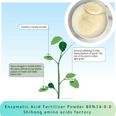 China Enzymatic Acid Fertilizer Powder Amino Acid 80% Ph5-7 NPK 14-0-0 Plant Biostimulant for sale