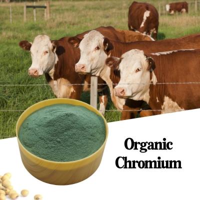 China 8% Chrominum Picolinate Organic Chromium Salt Animal Feed Additive zu verkaufen