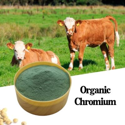 China 8% Chromium Amino Acid Organic Protein Animal Feed Additive Green Powder CAS7440-47-2 en venta