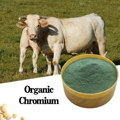 China Chromium Picolinate Powder Protein Organic Chromium Feed Additives To Improve Sow Fertility zu verkaufen