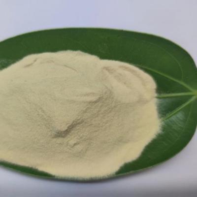 China Organic Grass Fertilizer Amino Acid Powder 80% Bio Fertilizer For Fruits Vegetables for sale