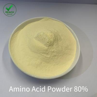 China Organic Foliar Spray Fertilizer Enzyme Amino Acid 80% Organic Powder for sale