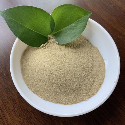 China Plant Source Amino Acid Powder 45%, Completely Water Soluble, No Caking, Bulk amino acid powder for sale