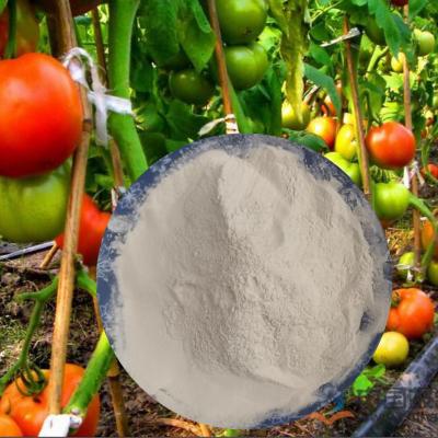 China Fertilizante ácido húmico el 52% 65072-01-7 del polvo del aminoácido de PH7-9 Fulvic en venta