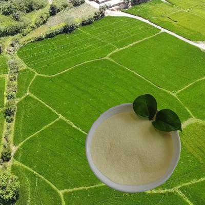 China El aminoácido del aminoácido nitrogen16 del hidrolizado de la proteína de soja de la lista de OMRI pulveriza la agricultura del 85% en venta