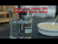 Maggie - Amino Acid Powder 80%