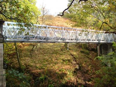 China Puente galvanizado de acero prefabricado del puente de braguero CB321 DSR Bailey con la cubierta de acero en venta