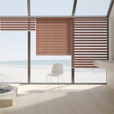 China Customized Waterproof Manual Window Shade Zebra Blind Waist Roller Blinds Sunscreen for sale