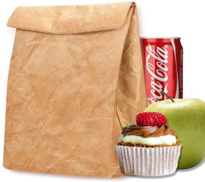 Κίνα Custom Reusable Waterproof Eco Friendly Children Tyvek Paper Insulated Lunch Bags For Kids School προς πώληση